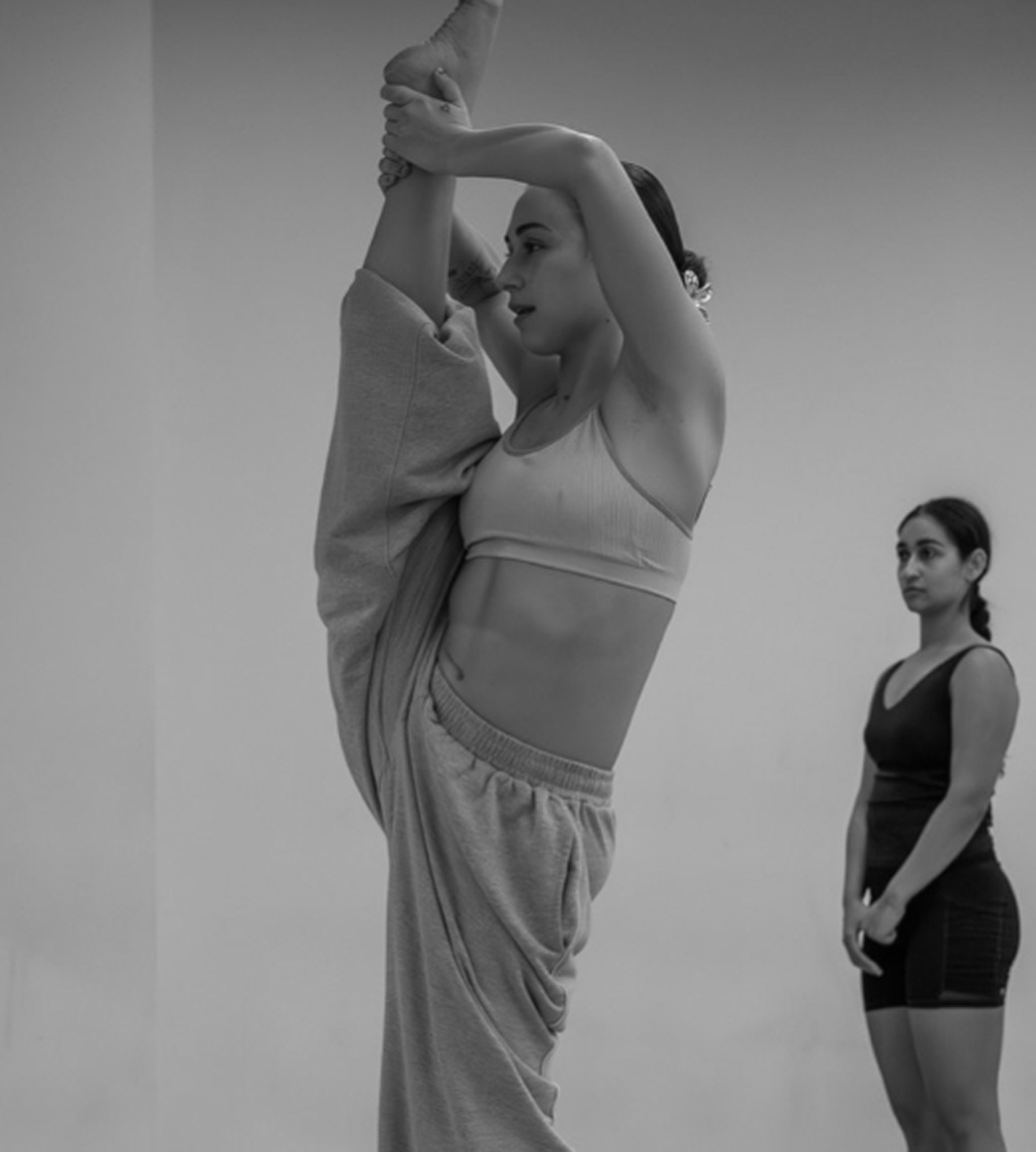 Flexibilidad