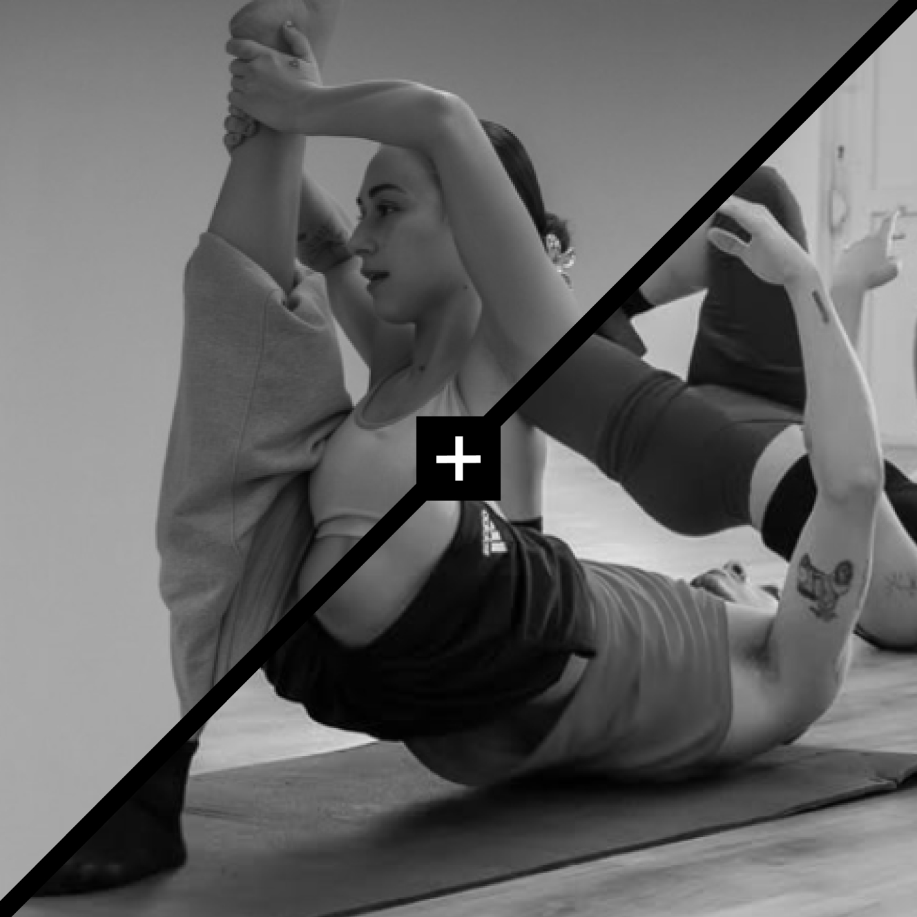 Flexibilidad + Base Técnica